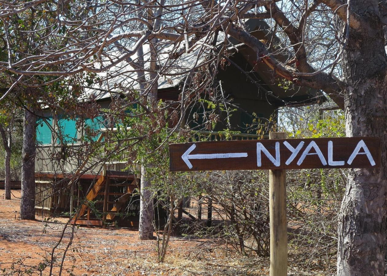 Iphofolo Lodge & Tented Camp Vivo Екстериор снимка