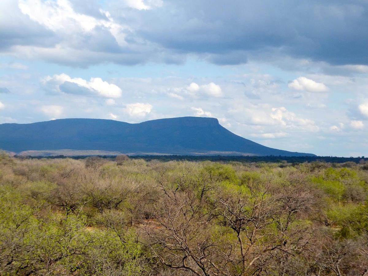 Iphofolo Lodge & Tented Camp Vivo Екстериор снимка