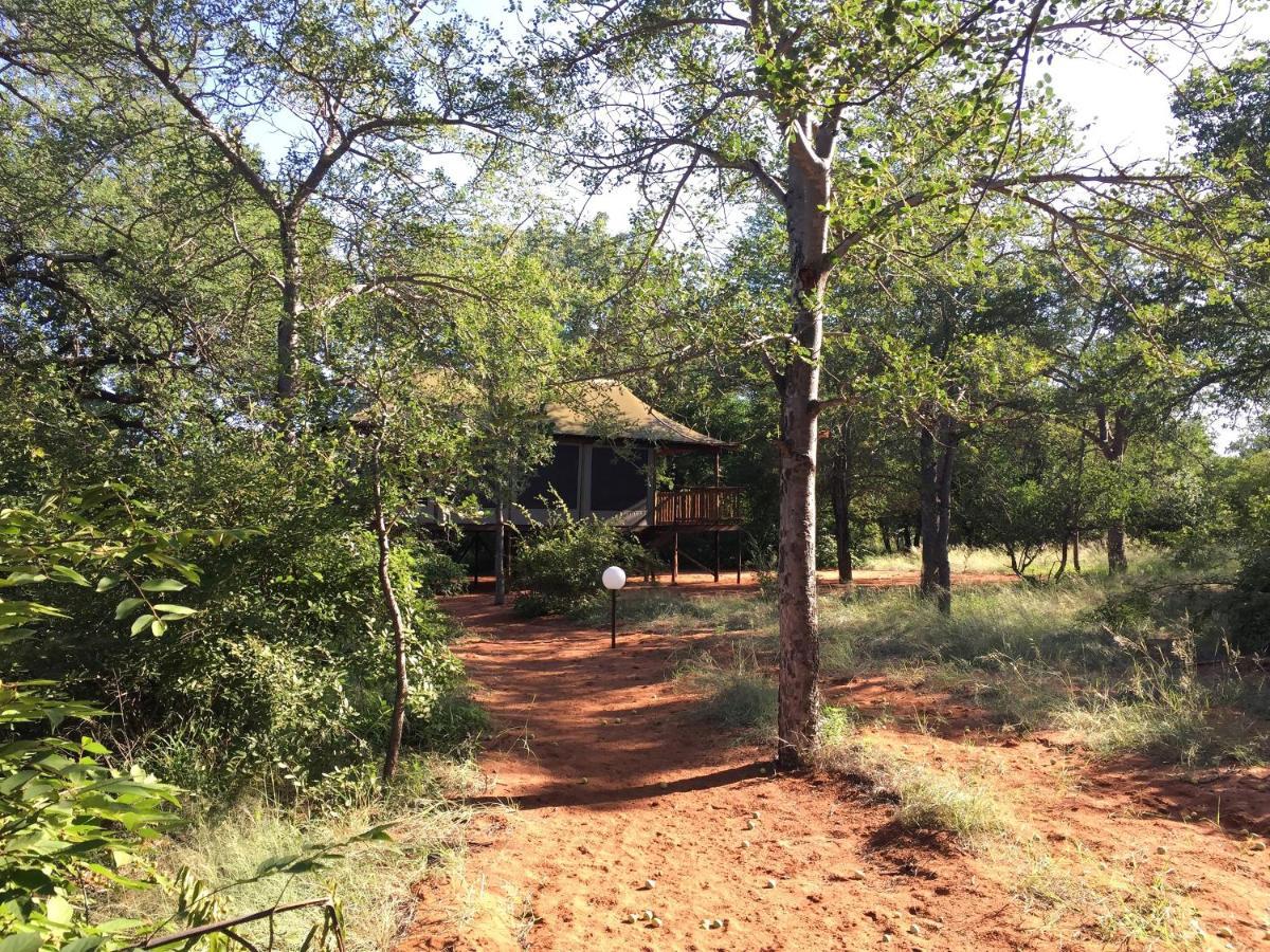 Iphofolo Lodge & Tented Camp Vivo Екстериор снимка