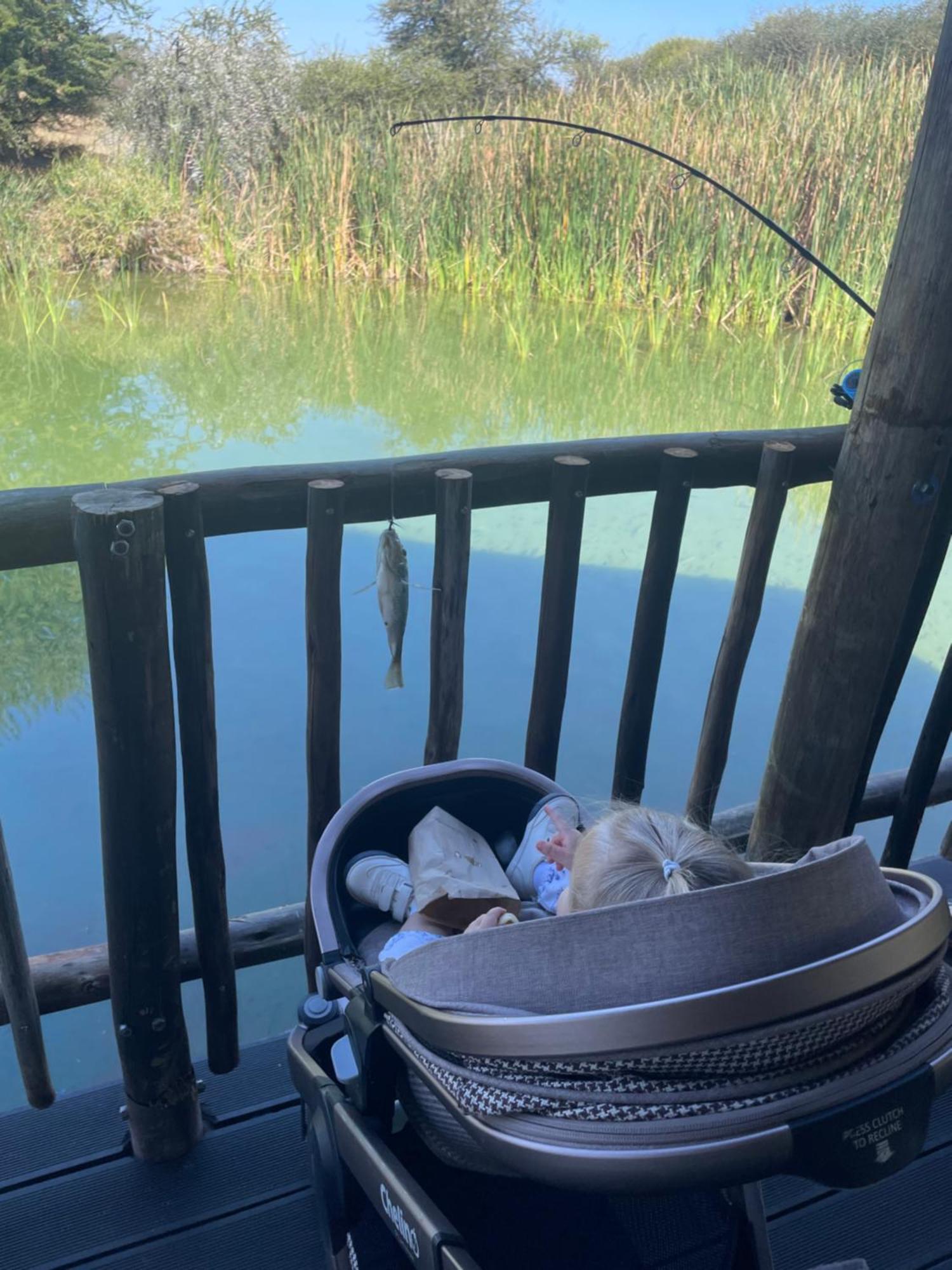 Iphofolo Lodge & Tented Camp Vivo Екстериор снимка