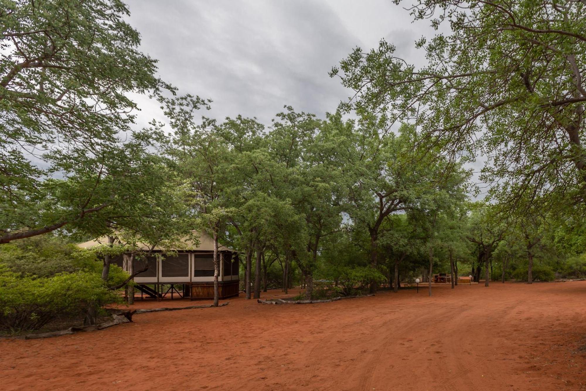 Iphofolo Lodge & Tented Camp Vivo Екстериор снимка