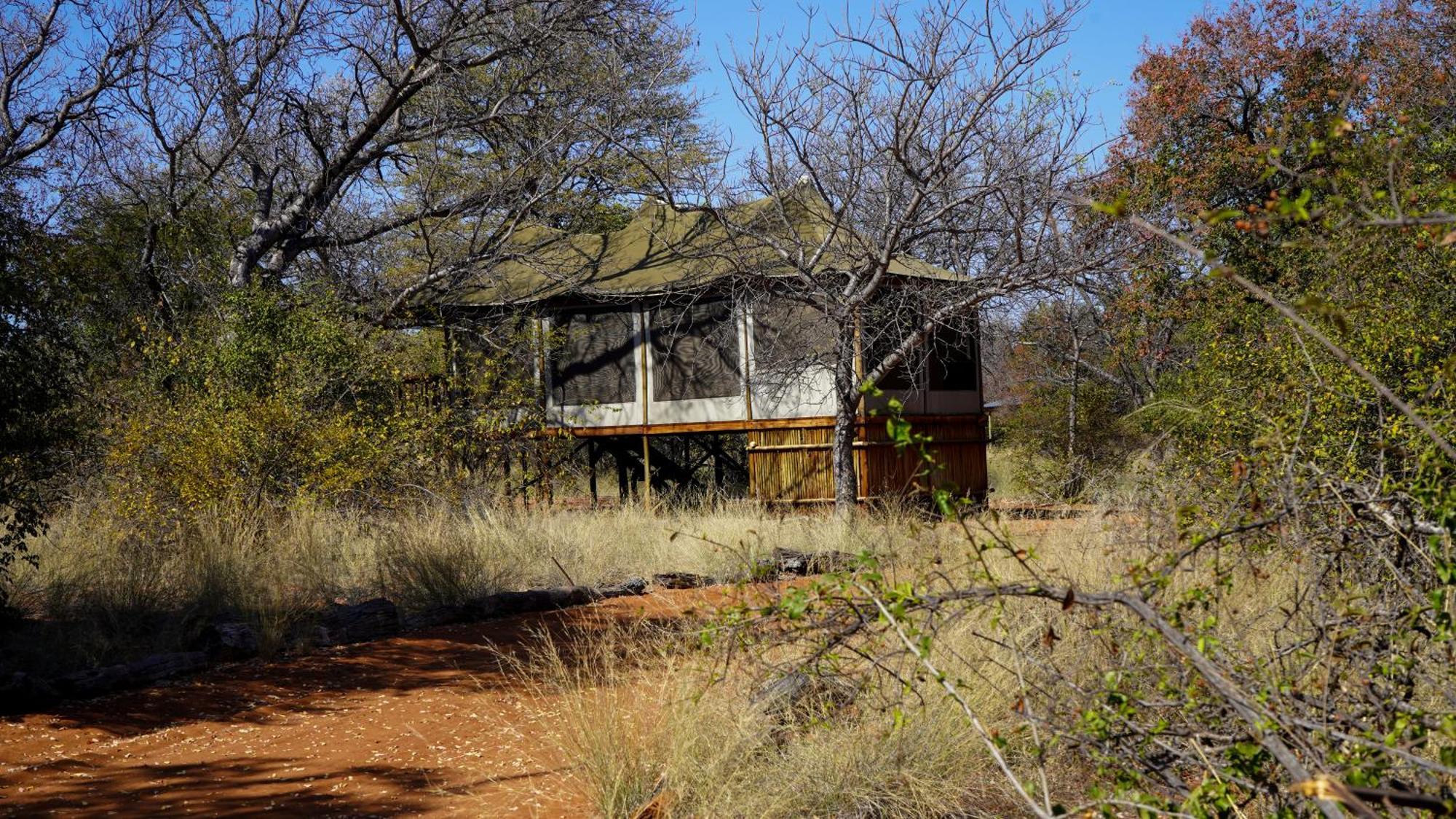 Iphofolo Lodge & Tented Camp Vivo Екстериор снимка