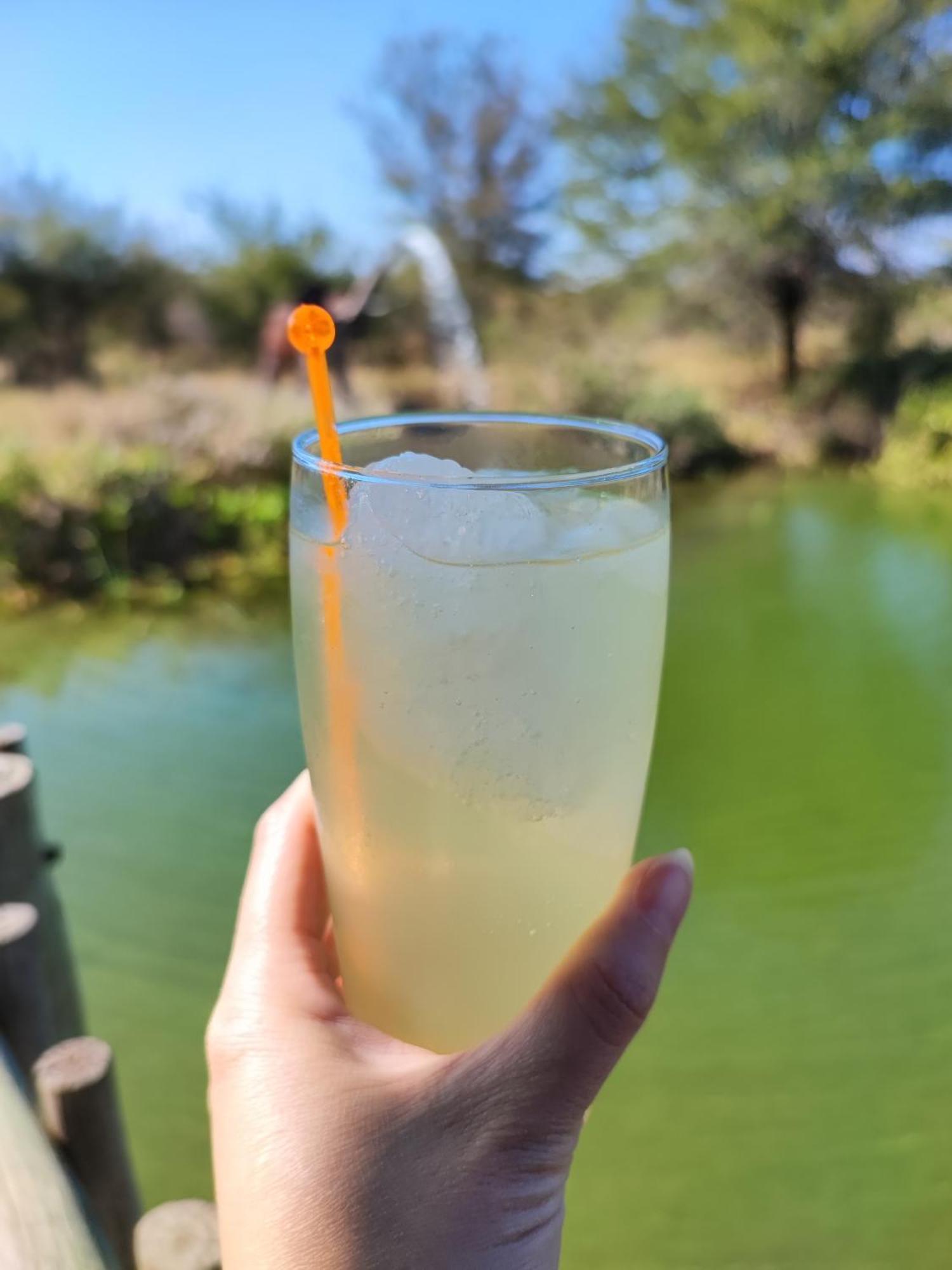Iphofolo Lodge & Tented Camp Vivo Екстериор снимка
